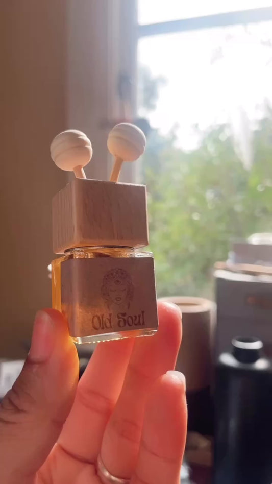 Clip on Car Diffuser